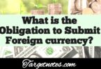 What is the obligation to submit foreign currency?