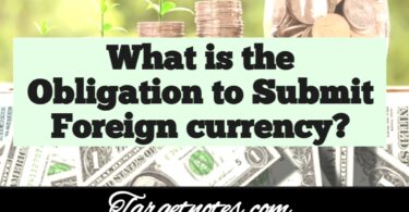 What is the obligation to submit foreign currency?