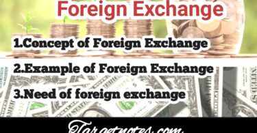 Foreign Exchange: Concept, Example and Needs
