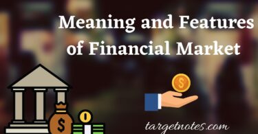 Meaning and Features of Financial Market