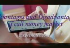 Advantages and Disadvantages of call money market