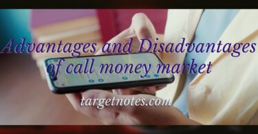 Advantages and Disadvantages of call money market