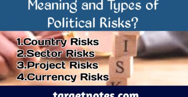 Explain Political risks in detail? and its Types