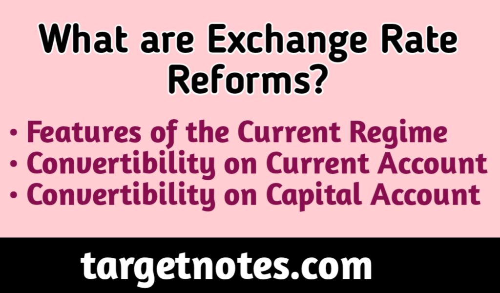 What are Exchange Rate Reforms?