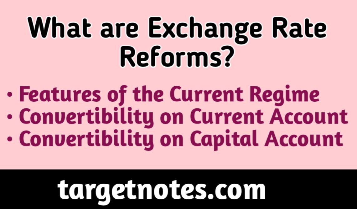 what-are-exchange-rate-reforms-in-english