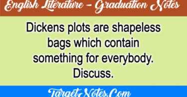 Dickens plots are shapeless bags which contain something for everybody. Discuss.