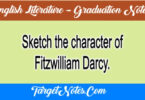 Sketch the character of Fitzwilliam Darcy.