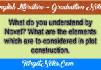 What do you understand by Novel? What are the elements which are to considered in plot construction.