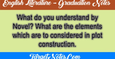 What do you understand by Novel? What are the elements which are to considered in plot construction.