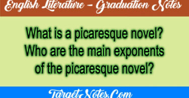 What is a picaresque novel? Who are the main exponents of the picaresque novel?