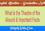 What is the Theatre of the Absurd & Important Facts