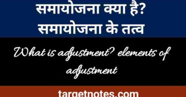 समायोजन क्या है? समायोजन के तत्व | what is adjustment ? elements of adjustment in Hindi