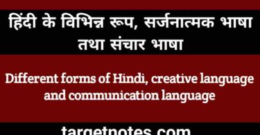 हिन्दी के विभिन्न रूप, सर्जनात्मक भाषा तथा संचार भाषा