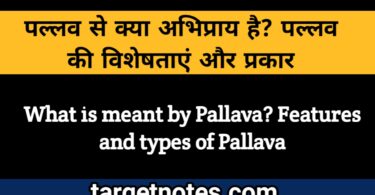 पल्लवन से क्या अभिप्राय है? पल्लवन की विशेषताएं और प्रकार