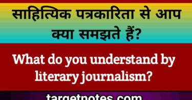 साहित्यिक पत्रकारिता से आप क्या समझते हैं?