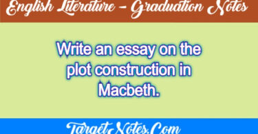 Write an essay on the plot construction in Macbeth.