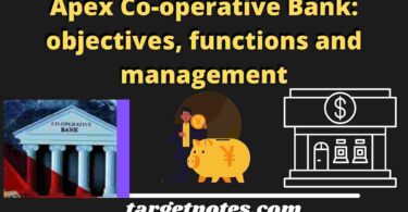 Apex Co-operative Bank: objectives, functions and management