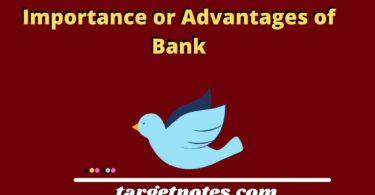 Importance or Advantages of Bank