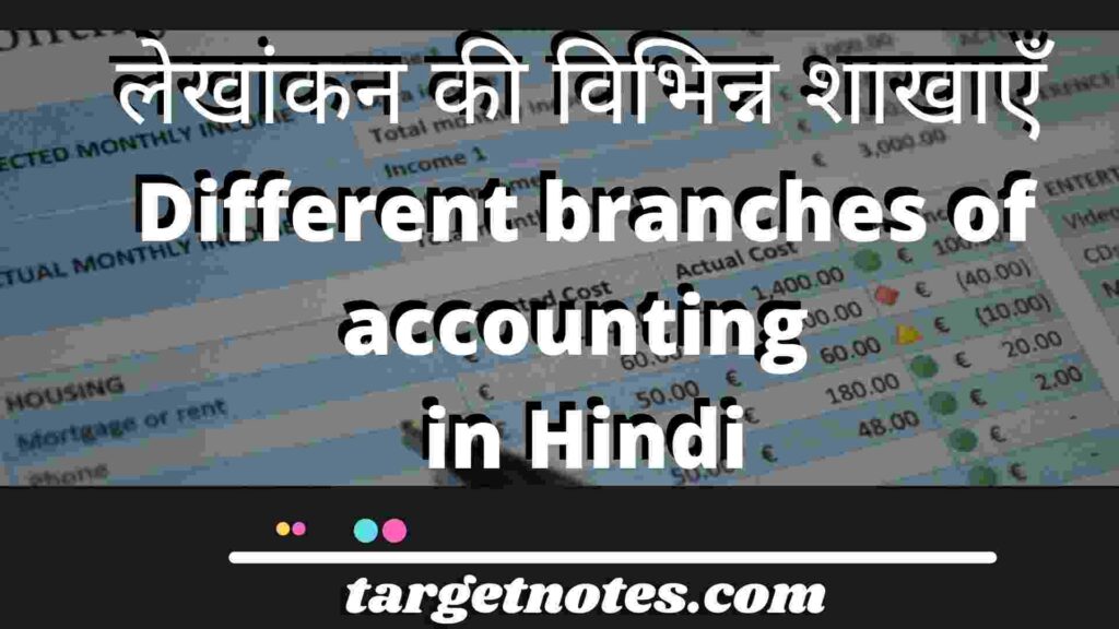 लेखांकन की विभिन्न शाखाएँ | different branches of accounting in Hindi