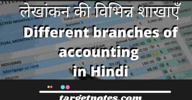 लेखांकन की विभिन्न शाखाएँ | different branches of accounting in Hindi