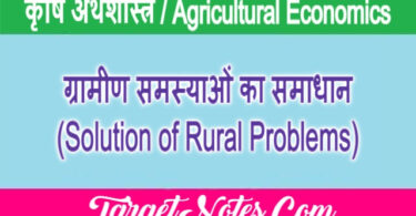 ग्रामीण समस्याओं का समाधान (Solution of Rural Problems)