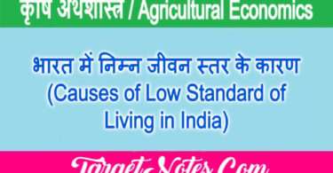 भारत में निम्न जीवन स्तर के कारण (Causes of Low Standard of Living in India)