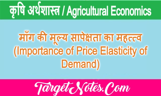 माँग की मूल्य सापेक्षता का महत्त्व (Importance of Price Elasticity of Demand)