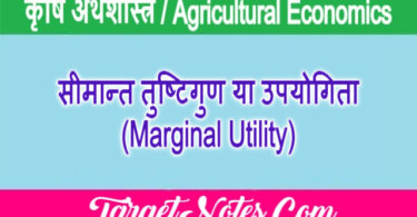 सीमान्त तुष्टिगुण या उपयोगिता (Marginal Utility)