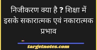 निजीकरण क्या है ? शिक्षा में इसके सकारात्मक एवं नकारात्मक प्रभाव