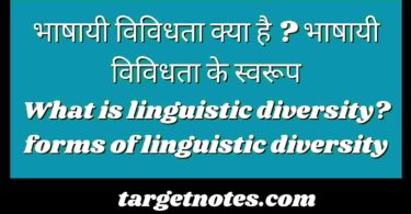 भाषायी विविधता क्या है ? भाषायी विविधता के स्वरूप