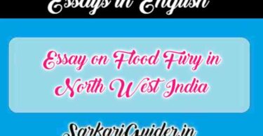 Essay on Flood Fury in North West India