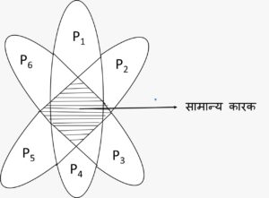 बुद्धि का बहुतत्व सिद्धांत