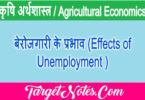 बेरोजगारी के प्रभाव (Effects of Unemployment )