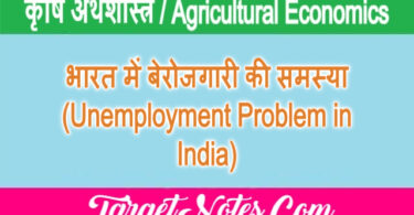 भारत में बेरोजगारी की समस्या (Unemployment Problem in India)
