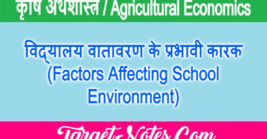 विद्यालय वातावरण के प्रभावी कारक (Factors Affecting School Environment)