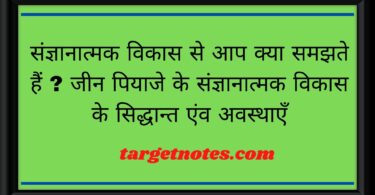 संज्ञानात्मक विकास से आप क्या समझते हैं ? जीन पियाजे के संज्ञानात्मक विकास के सिद्धान्त एंव अवस्थाएँ