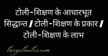 टोली-शिक्षण के आधारभूत सिद्धान्त | टोली-शिक्षण के प्रकार | टोली-शिक्षण के लाभ