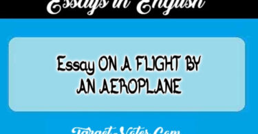 Essay ON A FLIGHT BY AN AEROPLANE