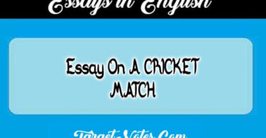 Essay On A CRICKET MATCH