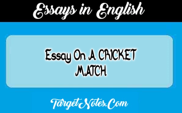 Essay On A CRICKET MATCH