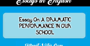 Essay On A DRAMATIC PERFORMANCE IN OUR SCHOOL