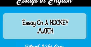 Essay On A HOCKEY MATCH