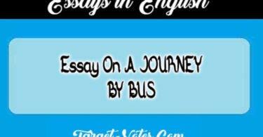 Essay On A JOURNEY BY BUS