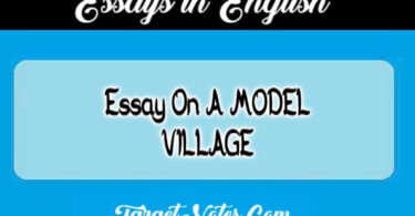 Essay On A MODEL VILLAGE