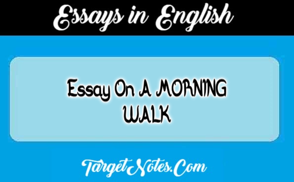 Essay On A MORNING WALK