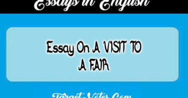 Essay On A VISIT TO A FAIR