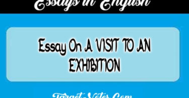 Essay On A VISIT TO AN EXHIBITION