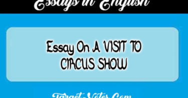 Essay On A VISIT TO CIRCUS SHOW