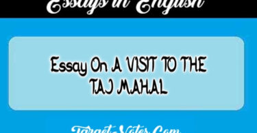 Essay On A VISIT TO THE TAJ MAHAL