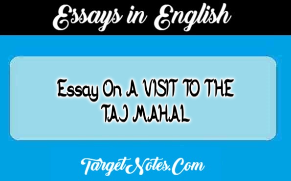 a visit to a taj mahal essay